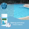 Crystal™ Quick Pool Cleaning Tablet