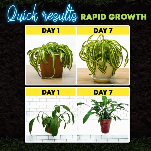 GrowPro™ Rapid Rooting Powder (5 packs)
