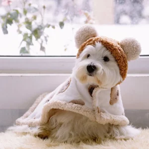 Warm Thickened Flannel Hooded Pet Cloth