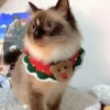 Dog Collars Christmas Pet Bibs