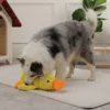 Dog Sleeping Toy Duck Chew
